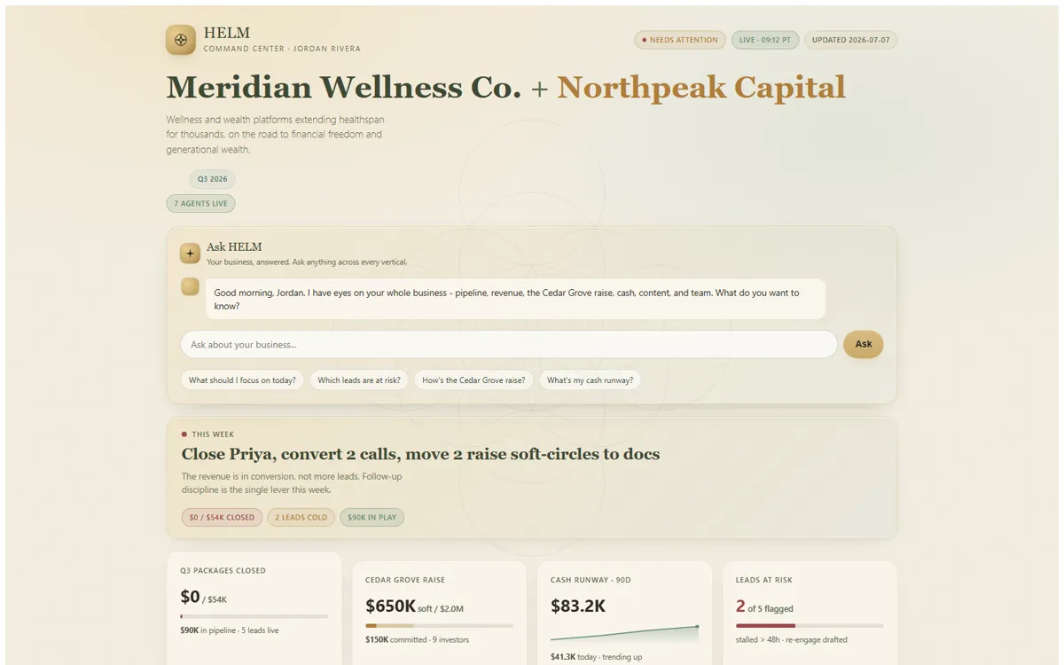 HELM command dashboard - demo data, fictional business